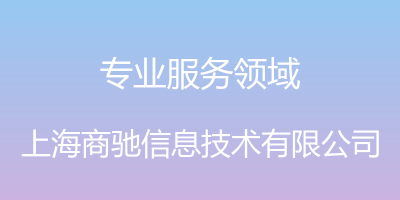 专业服务领域 - 上海商驰信息技术有限公司