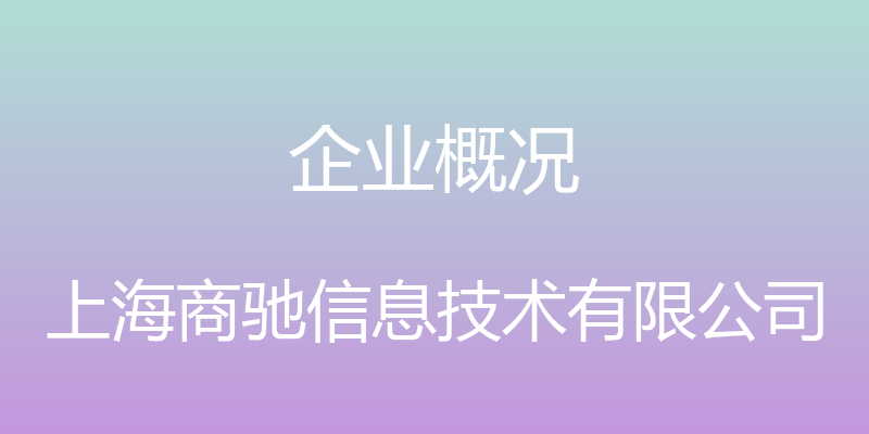 企业概况 - 上海商驰信息技术有限公司